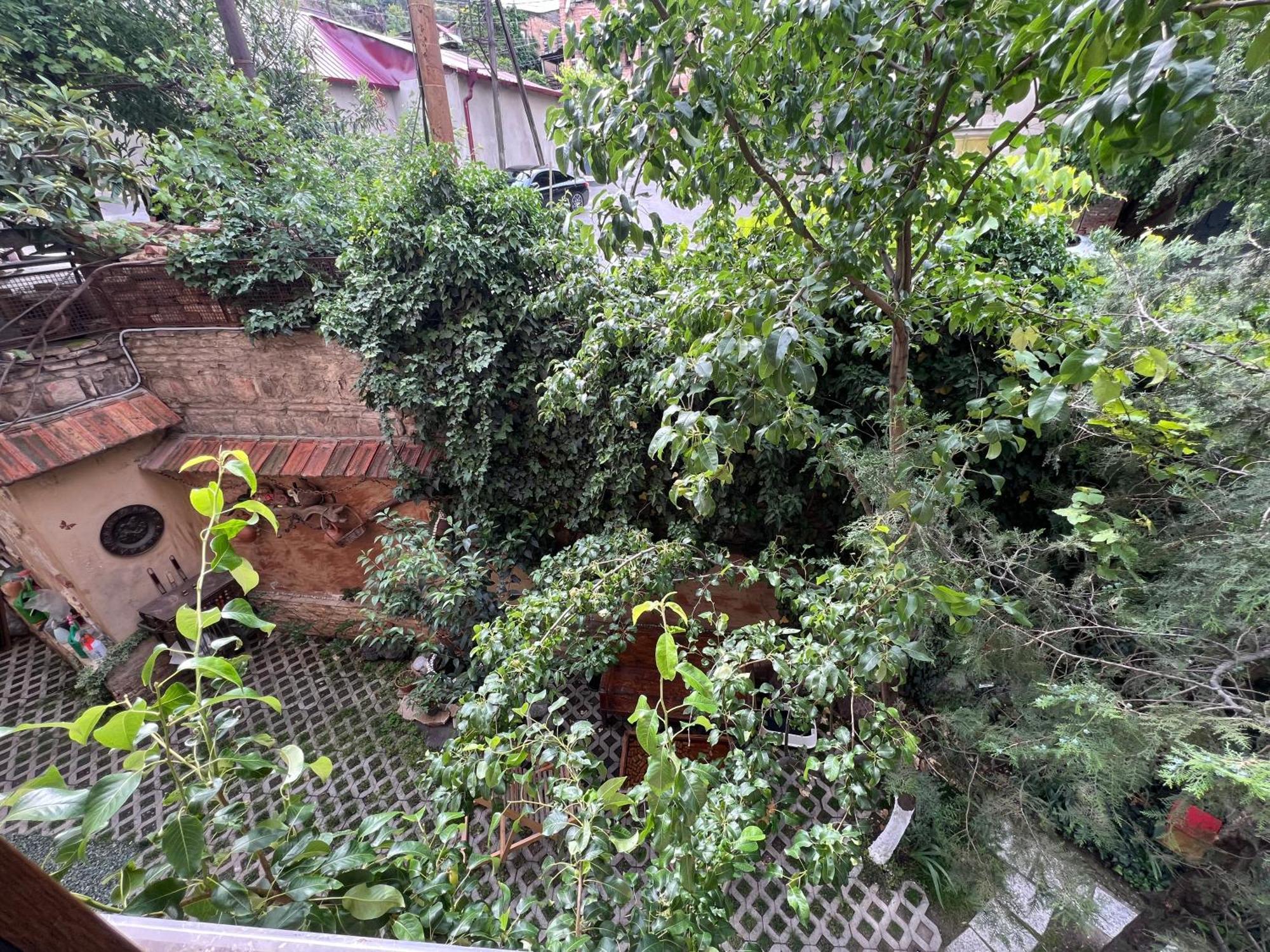 Wine Hills Hotel Tbilisi Værelse billede